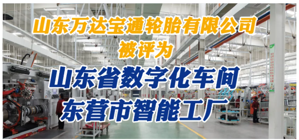 山東萬達寶通輪胎對其全年工作做了詳細總結。