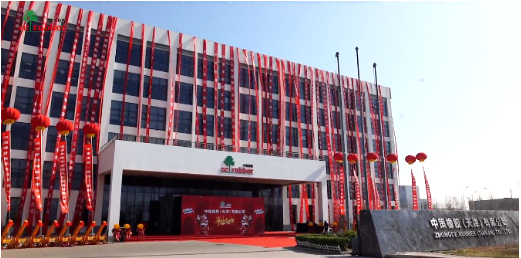 中策天津公司,開業(yè)! 中策天津公司,開業(yè)!