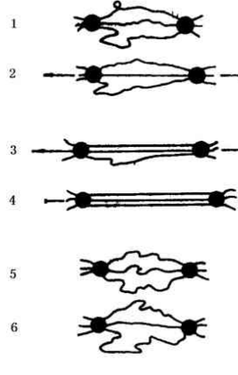 橡膠大分子鏈滑動學(xué)說