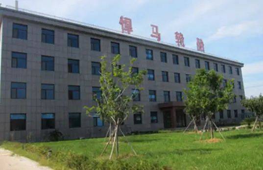 兩家輪胎公司，進(jìn)入省級(jí)名單 