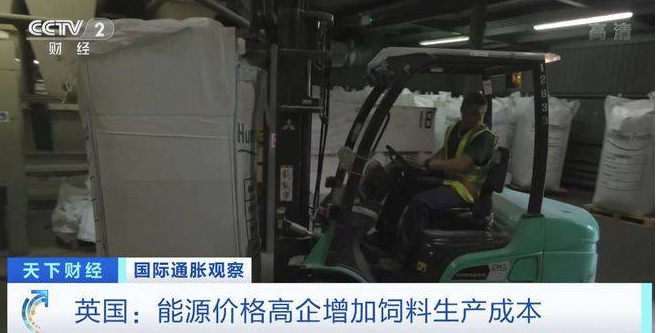 通脹加劇,英國飼料加工企業壓力巨大!雞肉價格已上漲25% 通脹加劇,英國飼料加工企業壓力巨大!雞肉價格已上漲25%