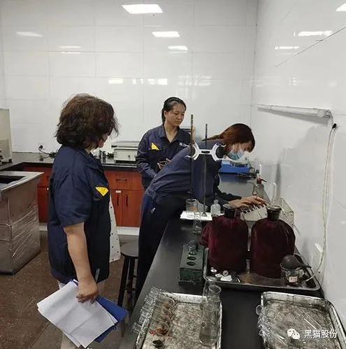 黑貓股份順利通過2022年度IATF16949:2016監審 黑貓股份順利通過2022年度IATF16949:2016監審