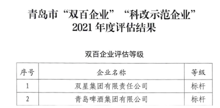10.雙星集團，全國國企改革“雙百企業”標桿!