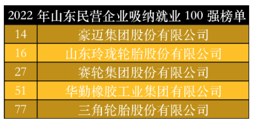 山東民營企業(yè)吸納就業(yè)100強(qiáng)榜單中,豪邁集團(tuán)、玲瓏輪胎、賽輪集團(tuán)、華勤橡膠、三角輪胎位列其中。作為勞動力較為密集的制造業(yè),以上5家輪胎及相關(guān)企業(yè)吸納就業(yè)數(shù)千人。 山東民營企業(yè)吸納就業(yè)100強(qiáng)榜單中,豪邁集團(tuán)、玲瓏輪胎、賽輪集團(tuán)、華勤橡膠、三角輪胎位列其中。作為勞動力較為密集的制造業(yè),以上5家輪胎及相關(guān)企業(yè)吸納就業(yè)數(shù)千人。
