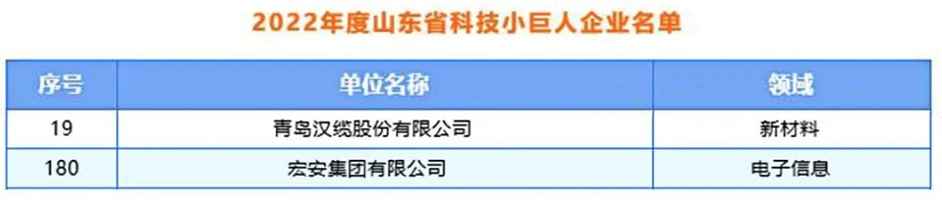 青島漢纜股份、宏安集團(tuán)入選2022年度山東省科技領(lǐng)軍企業(yè)名單 青島漢纜股份、宏安集團(tuán)入選2022年度山東省科技領(lǐng)軍企業(yè)名單