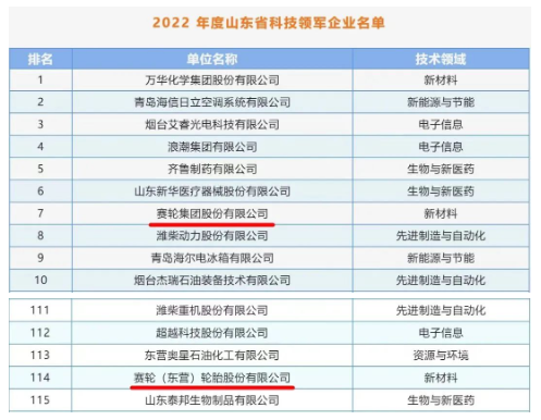 賽輪集團入選2022年度山東省科技領(lǐng)軍企業(yè) 賽輪集團入選2022年度山東省科技領(lǐng)軍企業(yè)