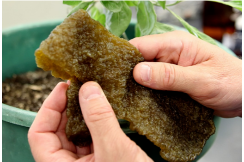 輪胎廠新項目，獲政府2.5億資助！