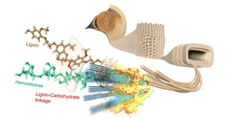 雙方共同研發(fā)、制備了可用于電動汽車輪胎的纖維素生物基新材料,作為炭黑的可持續(xù)替代品。目前,正在實施推出含有這種填料的輕量化、低滾阻高性能綠色輪胎。 雙方共同研發(fā)、制備了可用于電動汽車輪胎的纖維素生物基新材料,作為炭黑的可持續(xù)替代品。目前,正在實施推出含有這種填料的輕量化、低滾阻高性能綠色輪胎。
