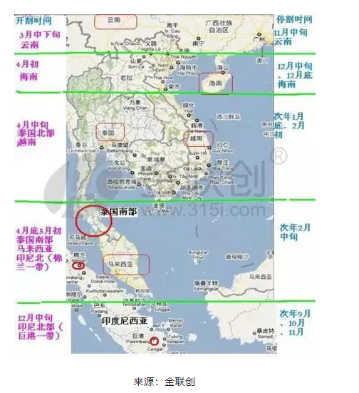 一、天然橡膠產出的季節(jié)性特點