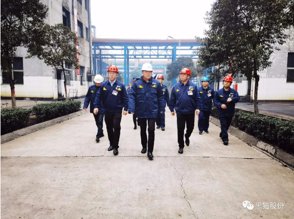 魏明到邯鄲黑貓調(diào)研指導(dǎo)工作 魏明到邯鄲黑貓調(diào)研指導(dǎo)工作