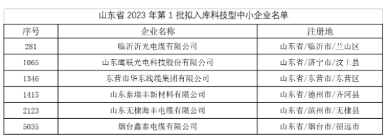 其中，東營市華東線纜集團有限公司、臨沂沂光電纜有限公司、山東鷹聯光電科技股份有限公司、山東泰瑞豐新材料有限公司、山東無棣海豐電纜有限公司、煙臺鑫泰電纜有限公司等多家電線電纜企業進入山東省2023年第1批擬入庫科技型中小企業名單。