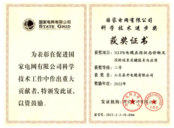 山東泰開電纜有限公司憑借其“XLPE電纜在役狀態(tài)診斷及役齡延長(zhǎng)關(guān)鍵技術(shù)與應(yīng)用”項(xiàng)目，獲得了國(guó)家電網(wǎng)有限公司的“科學(xué)技術(shù)進(jìn)步獎(jiǎng)”，這是對(duì)該公司近年來(lái)高質(zhì)量發(fā)展的充分肯定。