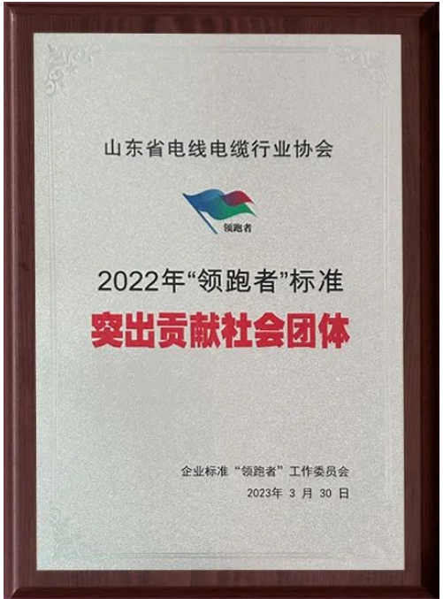 會上，山東省電線電纜行業(yè)協(xié)會獲“2022年‘領(lǐng)跑者’標(biāo)準(zhǔn)突出貢獻社會團體”“2022年‘領(lǐng)跑者’榜單突出貢獻評估機構(gòu)”兩項殊榮。授牌儀式隆重舉行，這也標(biāo)志著山東省電線電纜行業(yè)協(xié)會在企業(yè)標(biāo)準(zhǔn)“領(lǐng)跑者”制度的評價工作中取得了重要成果。