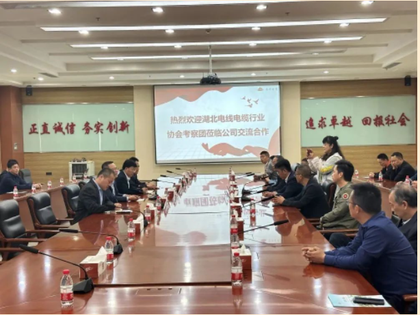 山東泰開電纜有限公司總經(jīng)理張愛華陪同下，交流團一行人參觀了集團展廳，詳細了解集團的發(fā)展歷程、經(jīng)營理念、科研創(chuàng)新、核心零部件等情況，同時考察了集團下屬高壓、電纜制造現(xiàn)場。在座談會上，雙方就技術(shù)研發(fā)、生產(chǎn)管理、質(zhì)量控制、員工獎勵等方面的問題進行了友好互動交流。