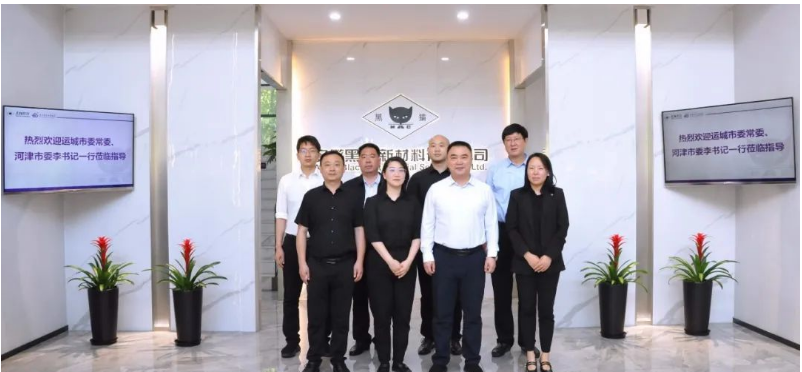 山西省運城市委常委、河津市委書記李曉武與河津市委常委、常務副市長閆新善一行，于今日蒞臨安徽黑貓公司，對其特種炭黑事業部展開調研。陪同調研的還有安徽黑貓公司相關負責人。