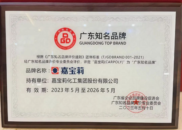 在此次廣東品牌發展大會上，嘉寶莉所獲得的"廣東知名品牌"殊榮不僅是對公司實力和努力的肯定，也是對其品牌價值和市場競爭力的認可。嘉寶莉將以此為契機，進一步加強品牌建設，提升產品研發創新能力，不斷滿足消費者的需求，為行業的發展作出更大貢獻。