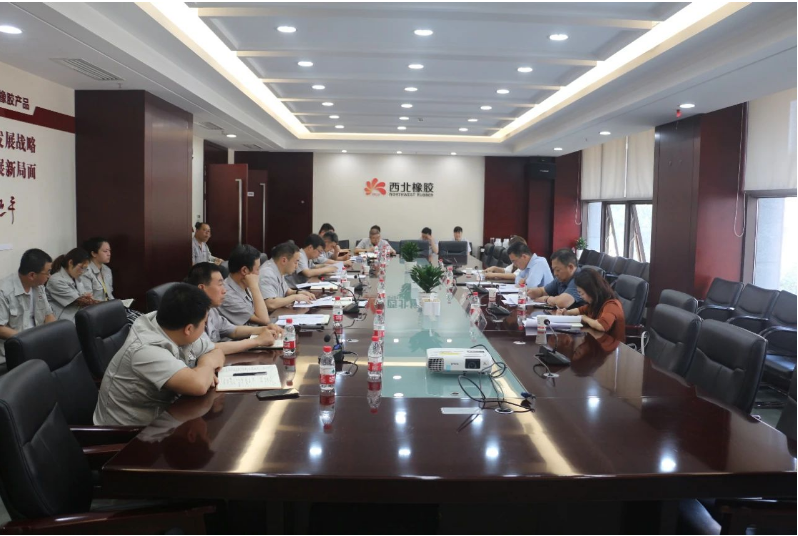 為加強安全生產(chǎn)管理，確保安全底線，延長石油集團公司安全包聯(lián)領導解金城一行于今日來到陜西延長石油西北橡膠有限公司，展開了包聯(lián)單位的安全專項督查工作。在張航偉公司總經(jīng)理和黨委副書記的陪同下，相關領導班子成員和部門負責人參加了座談交流。
