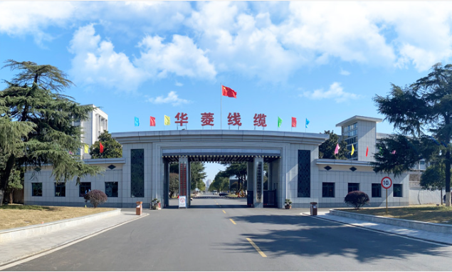 華菱線纜表示將繼續積極響應“雙碳”號召，進一步開拓綠色新能源行業，推動行業能源清潔化、低碳化、高質量發展。公司將致力于提供更加優質的產品和服務，實現社會、客戶與企業共贏目標。