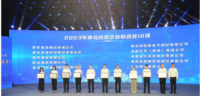 依托青島科技大學(xué)的支持，賽輪集團憑借其內(nèi)在的科技創(chuàng)新基因脫穎而出。成立20余年來，該集團始終秉持著“做一條優(yōu)質(zhì)輪胎”的使命，緊緊抓住自主創(chuàng)新這一引擎，聯(lián)合國家橡膠與輪胎工程技術(shù)研究中心，全力攻克一系列核心技術(shù)難題。不僅成功研發(fā)出世界最大尺寸的63吋巨型工程子午胎，還發(fā)布了全球首個投入使用的橡膠工業(yè)互聯(lián)網(wǎng)平臺——“橡鏈云”。此外，其還運用全球首創(chuàng)的化學(xué)煉膠技術(shù)，成功研發(fā)出新一代輪胎產(chǎn)品，被譽為“液體黃金”輪胎。這一產(chǎn)品不僅在耐磨方面實現(xiàn)突破，還在節(jié)能、舒適性和制動距離等方面做出了顯著貢獻，解決了業(yè)界長期面臨的“魔鬼三角”難題。