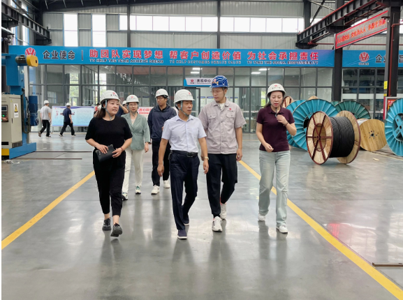 華東電纜表示下半年將集中精力提高產(chǎn)品質(zhì)量，強(qiáng)化風(fēng)險(xiǎn)防控，積極應(yīng)對市場訂單，全力以赴，確保完成全年經(jīng)營發(fā)展目標(biāo)任務(wù)，進(jìn)一步推動(dòng)經(jīng)濟(jì)實(shí)現(xiàn)有效提升和合理增長。