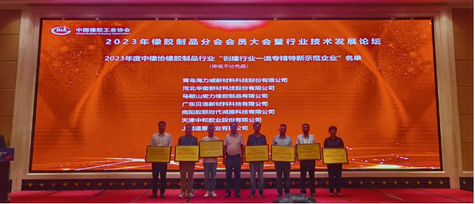 在行業技術論壇上，貝洛新材發展中心總監姚芳偉發表了題為《廚衛電器核心密封件的國產替代之路》的主題演講。他回顧了廚衛電器密封件行業的發展歷程，深入分析了國內外產品的差異與發展趨勢。姚芳偉的演講為國產化產品的發展貢獻了重要思路與方向。