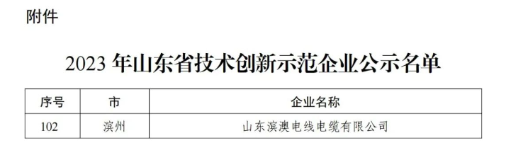 據悉，山東濱澳電線電纜有限公司先后獲得國家級高新技術企業、山東省企業技術中心、省級專精特新中小企業、濱州市科技型中小企業等多項榮譽，并擁有十余項專利成果。公司目前擁有超過120名員工，其中有20余名從事研發技術工作。其全國工業產品生產許可證證書以及強大的技術創新能力、健全的質量保障體系和科學的管理模式為企業不斷壯大提供了持續動力。