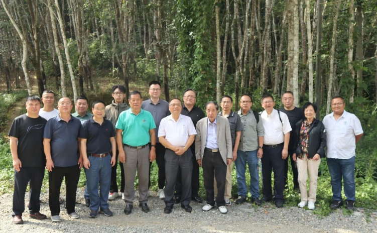 通過這次活動，與會單位收獲頗豐。首先是增強了大家的自信并認清了合作的重要性。而后項目完成推廣，對實現年減少二氧化碳排放量約219萬噸、國家碳中和戰略具有重大作用。最后也希望得到國家相關部門的關注和支持。