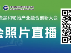 2025 首屆炭黑與輪胎產業融合創新大會成功舉辦!