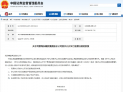 海安橡膠,主板 IPO 注冊(cè)生效!